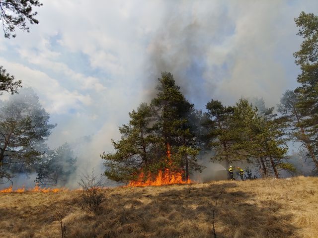 Požar v naravi (26.3.2022)
